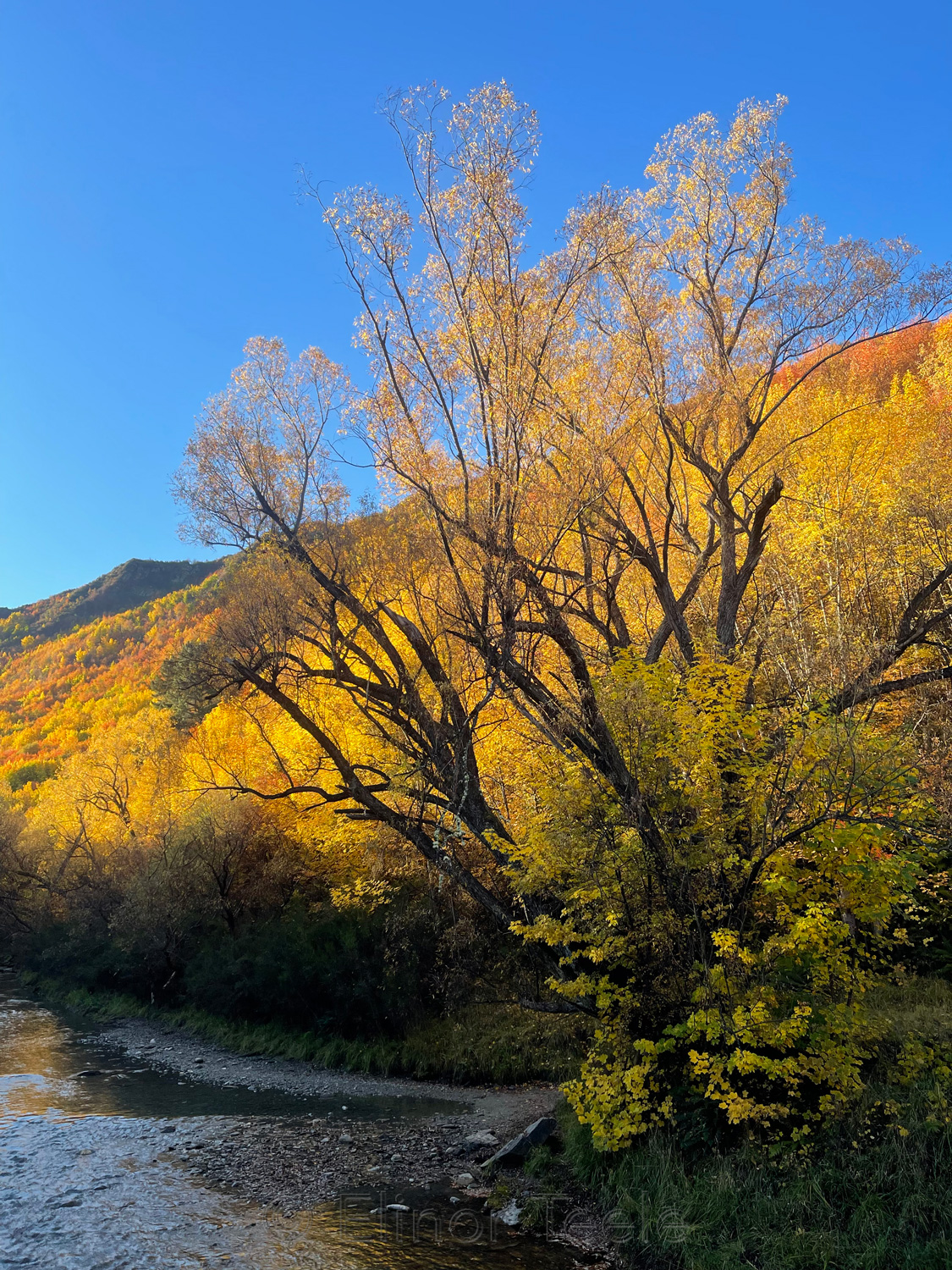 Arrow River in Autumn 1