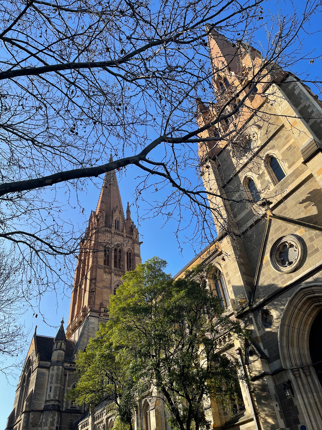 Anglican Diocese, Melbourne