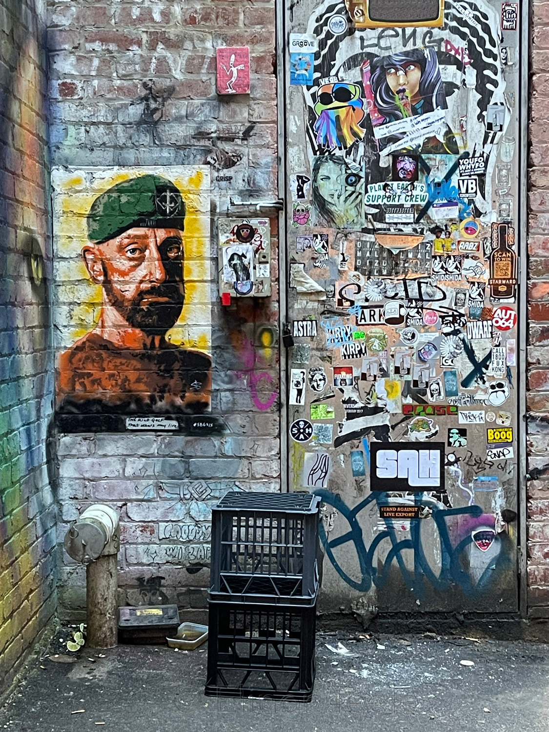 Duckboard Place - Door, Melbourne