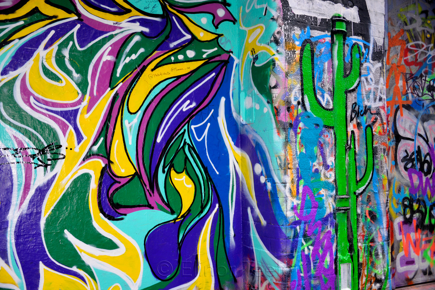 Street Art - Cactus - Hosier Lane, Melbourne