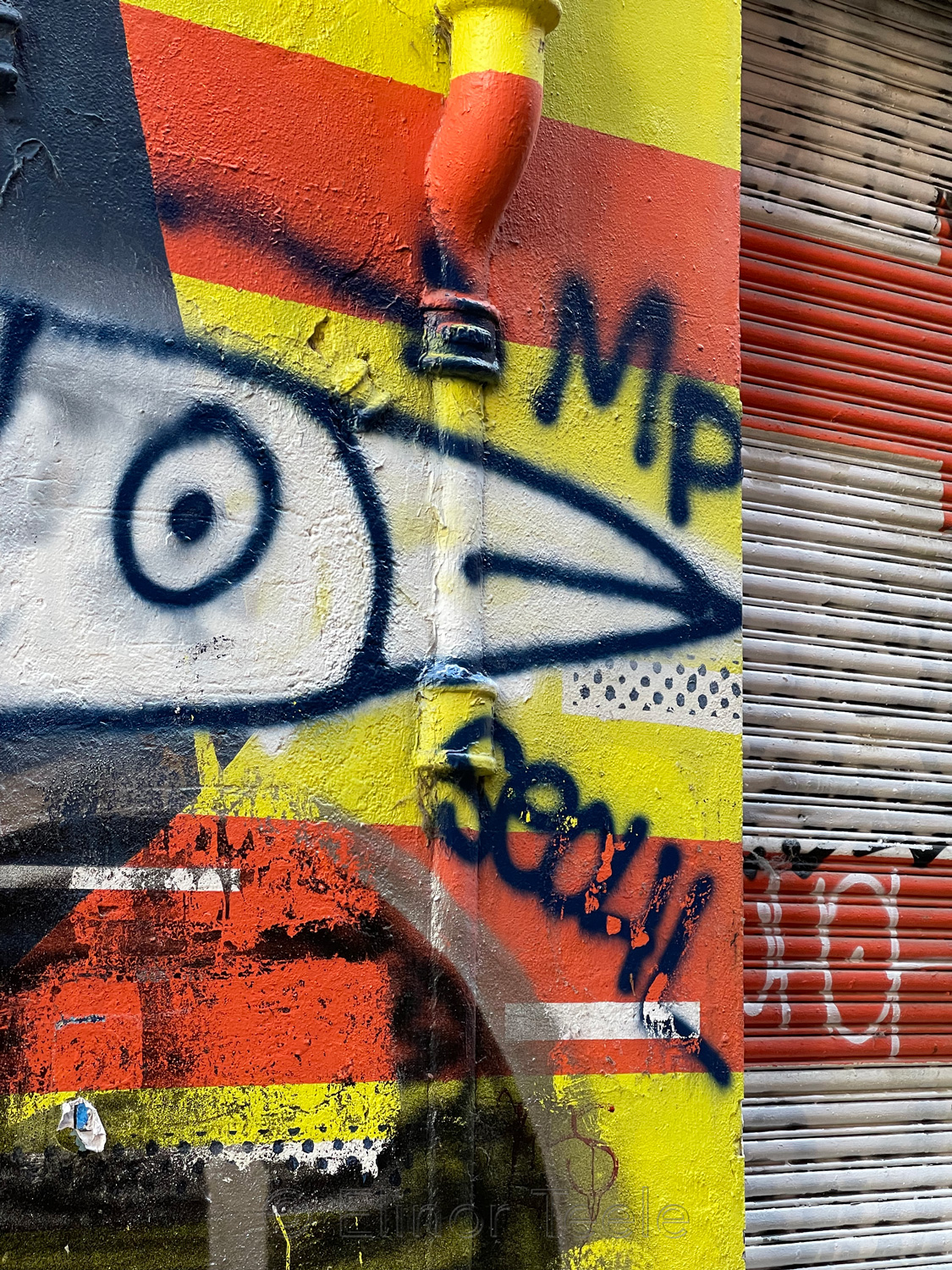 Street Art - Fish - Laneway, Melbourne