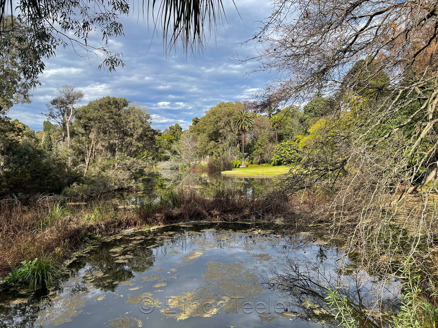 Royal Botanic Gardens, Melbourne 2