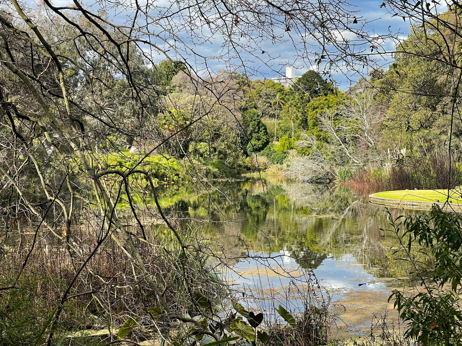 Royal Botanic Gardens, Melbourne 3