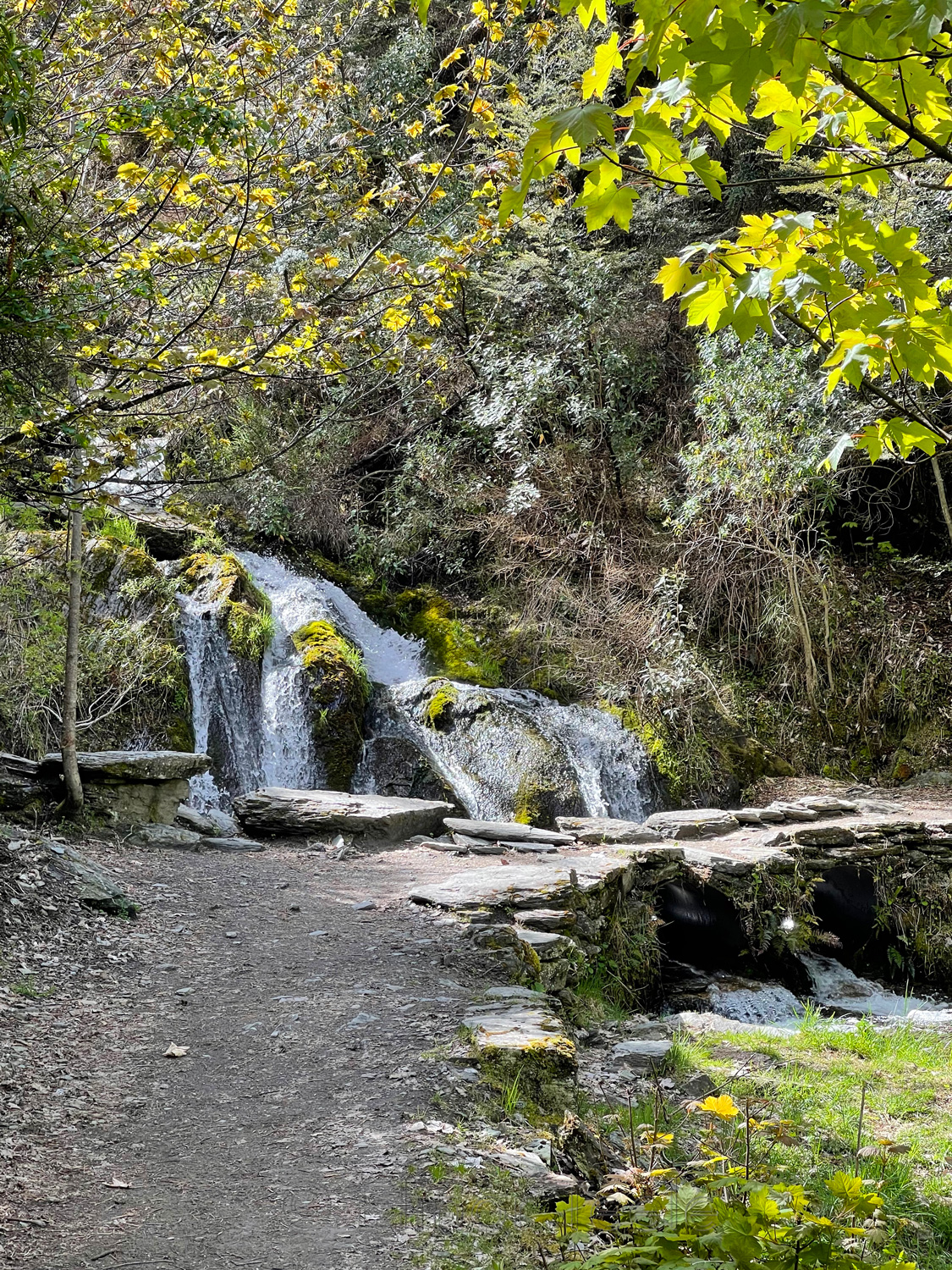 Spring Waterfall